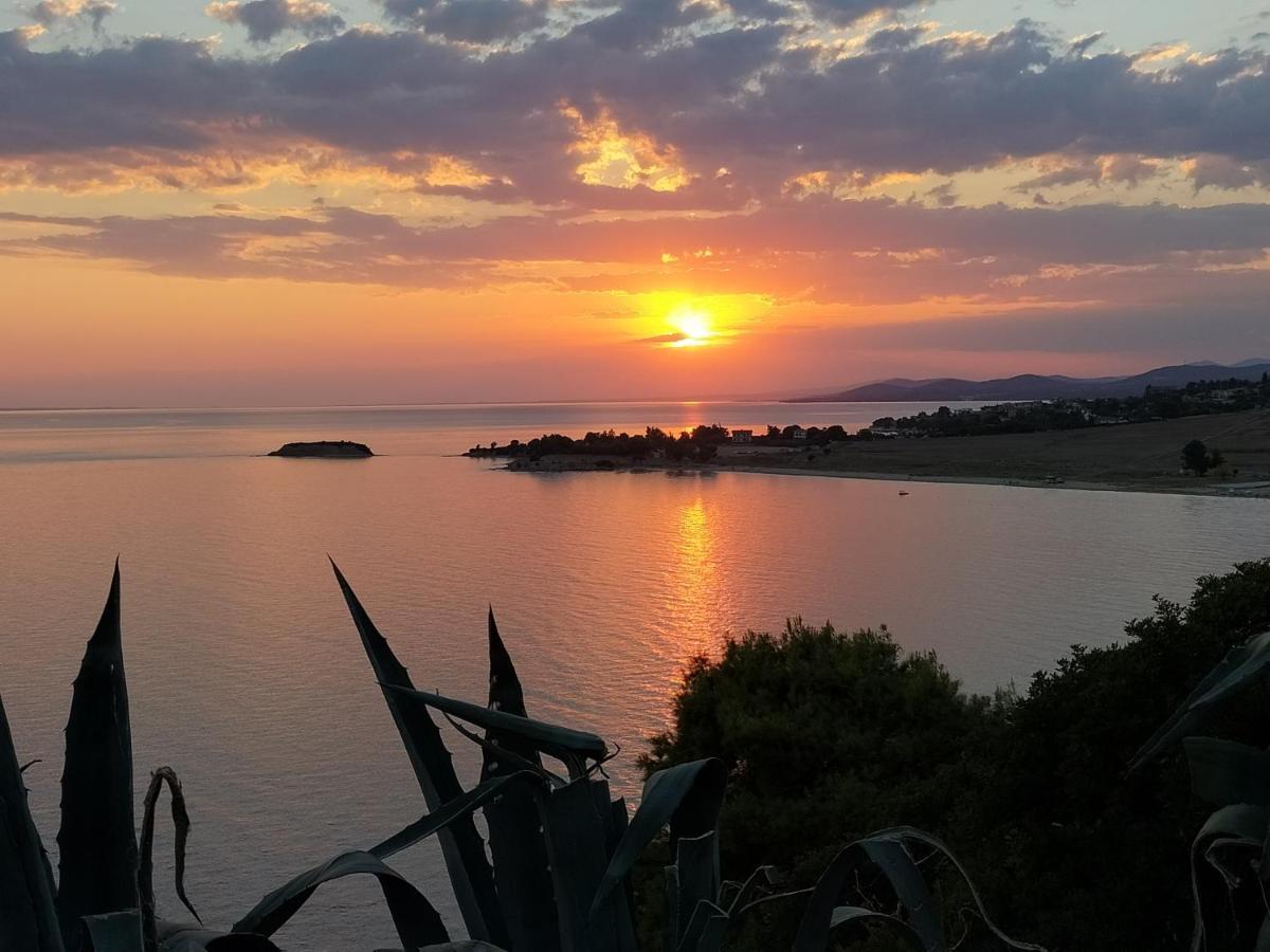 To Helidoni Apartment & Gardens Nikiti (Sithonia) Exterior foto