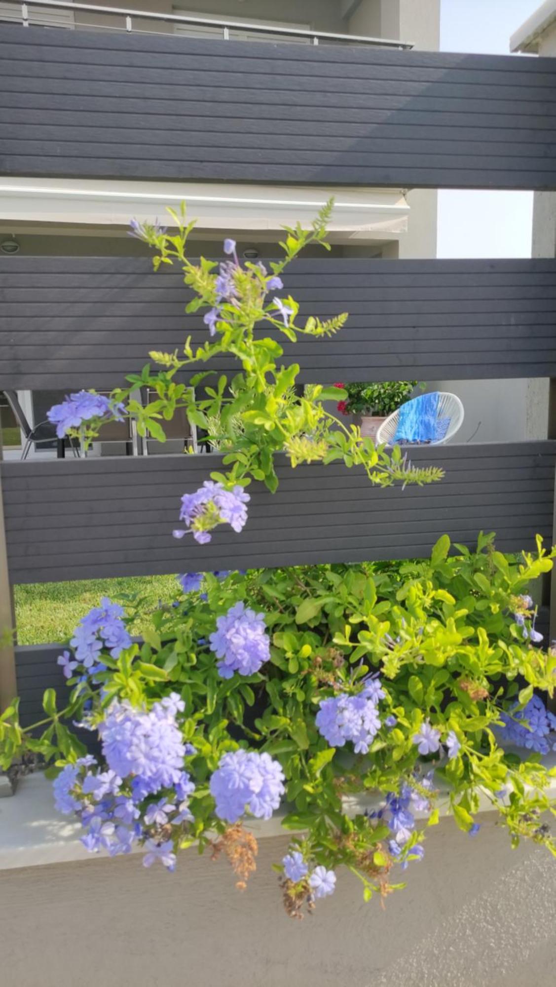 To Helidoni Apartment & Gardens Nikiti (Sithonia) Exterior foto